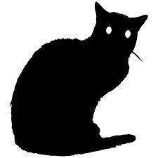 black cat on white background
